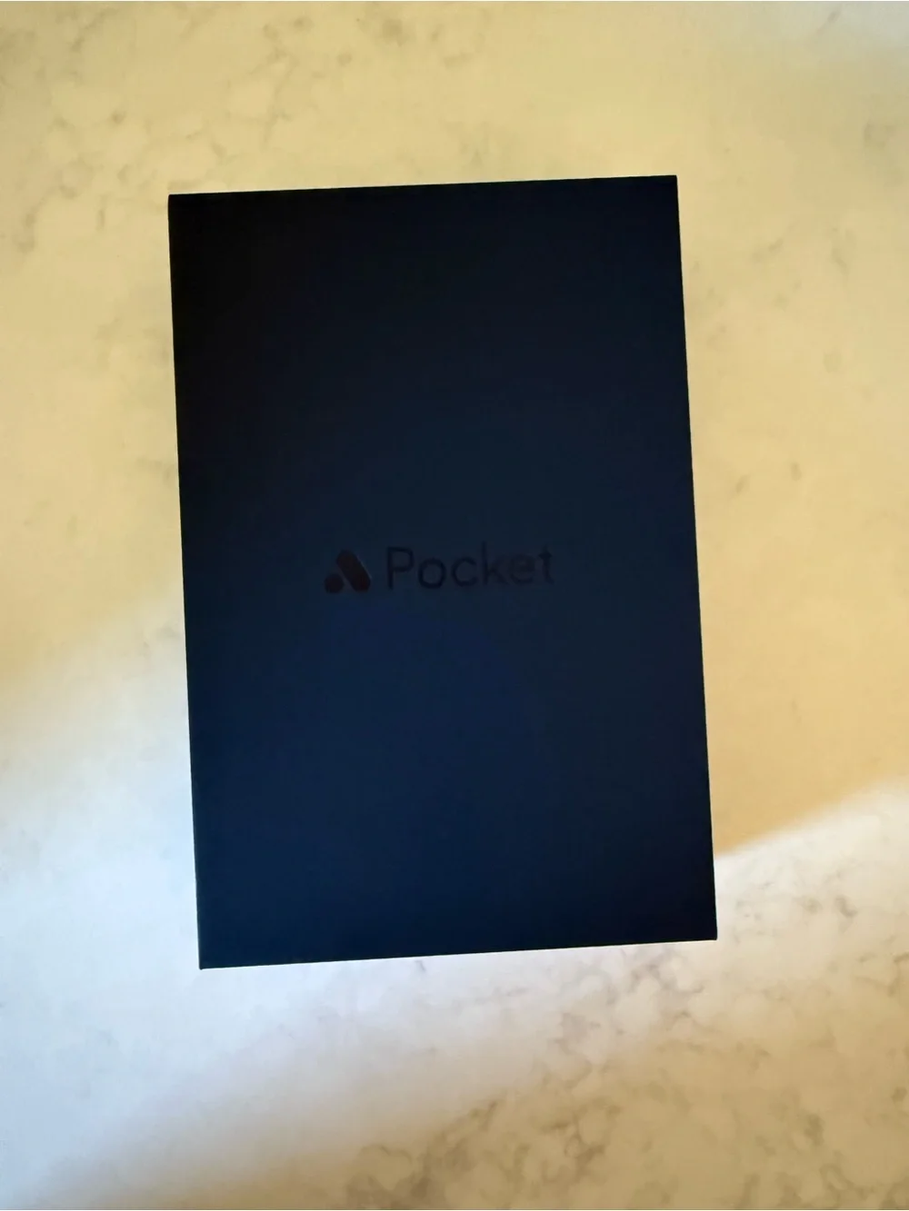 Analogue Pocket -Black